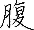 腹