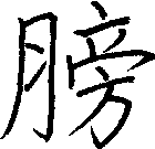 膀